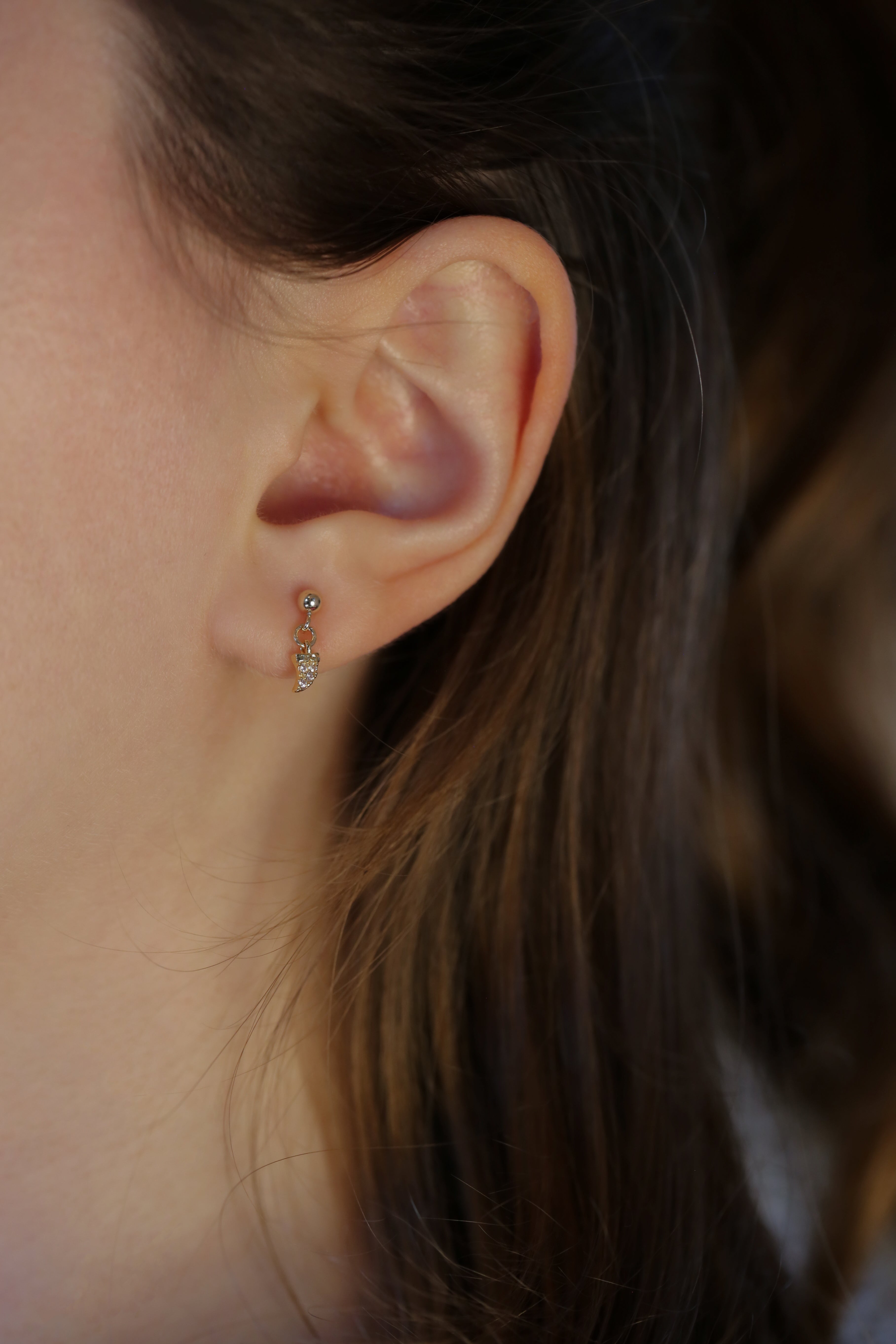 Spicy Earrings - Goldside Jewelry