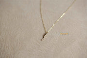 Spicy Necklace