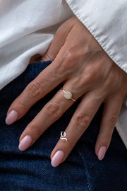 Pavé Circle CZ Ring